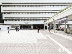 -香港大学