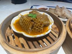 -点都德·毕德寮