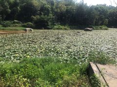 -大雁山风景区