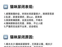 -康成宠物医院24H·CT·核磁共振