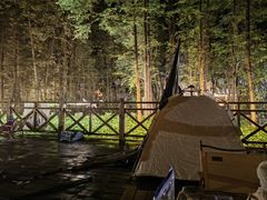 -桤木河湿地公园