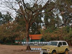 -南沙蒲洲花园