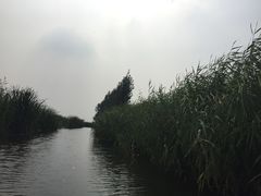 -白洋淀景区