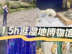 -中国湿地博物馆