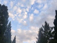 -月坛公园