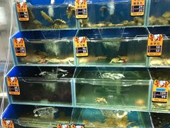 -海味当家·蒸锅海鲜(星海公园店)