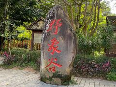 -野象谷景区