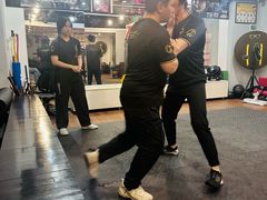 -温鉴良实用咏春拳