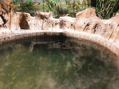 -龙达温泉生态城