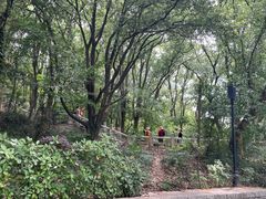 -灵岩山风景区