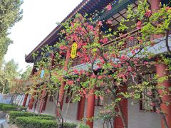 -大慈恩寺(大雁塔)