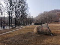-高尔山公园