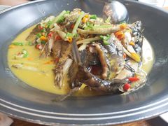 河鱼一锅鲜-饭怕鱼(阳光100店)