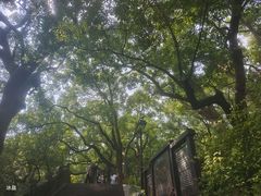 -吴山景区