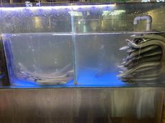 -本炙炭烤·蒲烧活鳗料理店(金沙洲店)