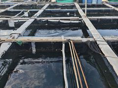 -蓝湾碧波·老字号·疍家非遗海上餐厅