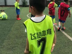 -飞梦少儿足球培训(塘桥校区)