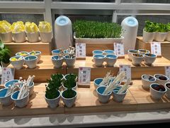 -SEA西雅图海鲜自助餐厅(正义店)