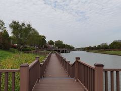 -太湖湖滨国家湿地公园-停车场