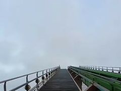 -鹦鹉过山车