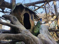 -长鹿旅游休博园
