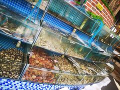 水产区-蟹谢蒸鲜自助餐厅