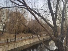 -元大都城垣遗址公园