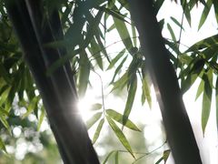 -堤角公园