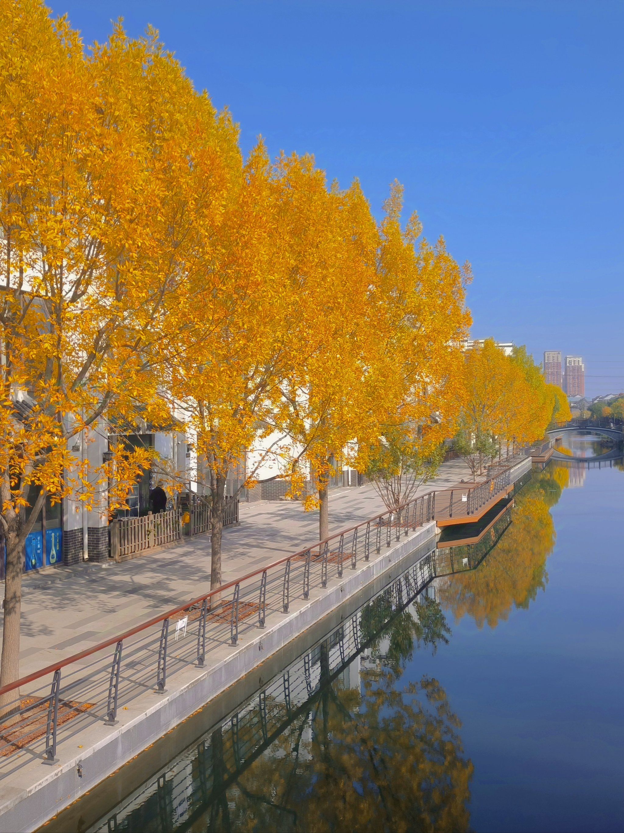 10月24日实拍!左滑一起看通惠河惊艳的秋天