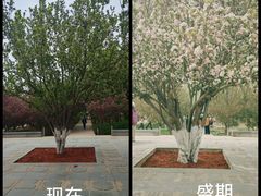 -元大都城垣遗址公园