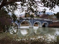 -奉浦四季生态园