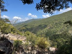 -海南霸王岭国家森林公园