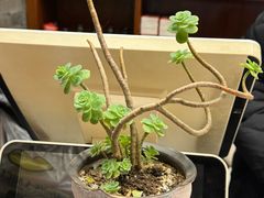 -合肥妈妈菜(青阳南路店)
