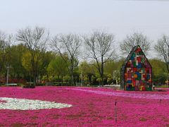 -石家庄市植物园