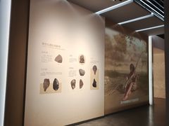 -四川宋瓷博物馆