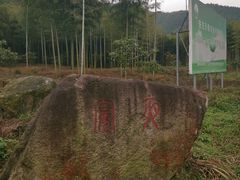 -天下银坑