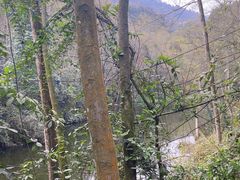-青城山