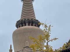 -张掖大佛寺景区