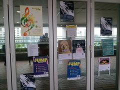 -香港大学