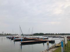 -滴水湖帆船营地