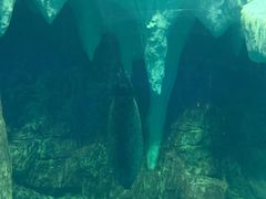 -海合安武汉极地海洋公园