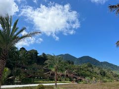 -海南热带雨林国家公园吊罗山景区