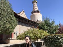 -张掖大佛寺景区