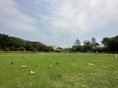 -白鹭洲公园