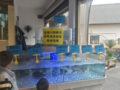 -后湖小院·乡野田园菜