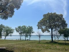-漕湖湿地公园