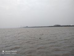 -碧海金沙