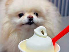 -DQ·蛋糕·冰淇淋(五角场万达店)