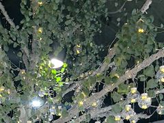 -自贡盐帮菜·玩辣餐厅(樱花园西街店)