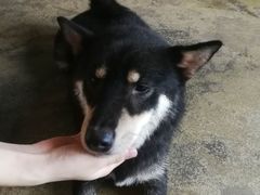 -萌喵咖啡屋(人民东路4号口M16商铺店)